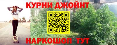 молекула духа Гай