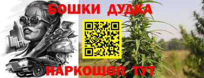трава Гатчина
