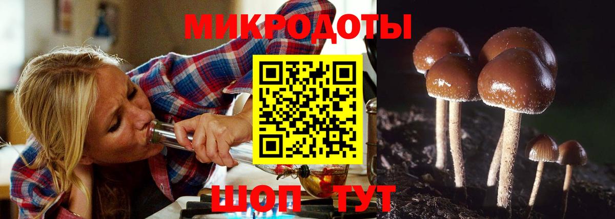 Галлюциногенные грибы MAGIC MUSHROOMS  Вход с VPN  Нефтеюганск 
